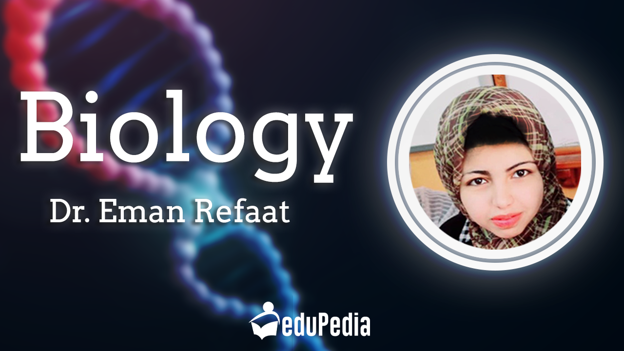 Dr Eman Refaat -Biology sec 2
