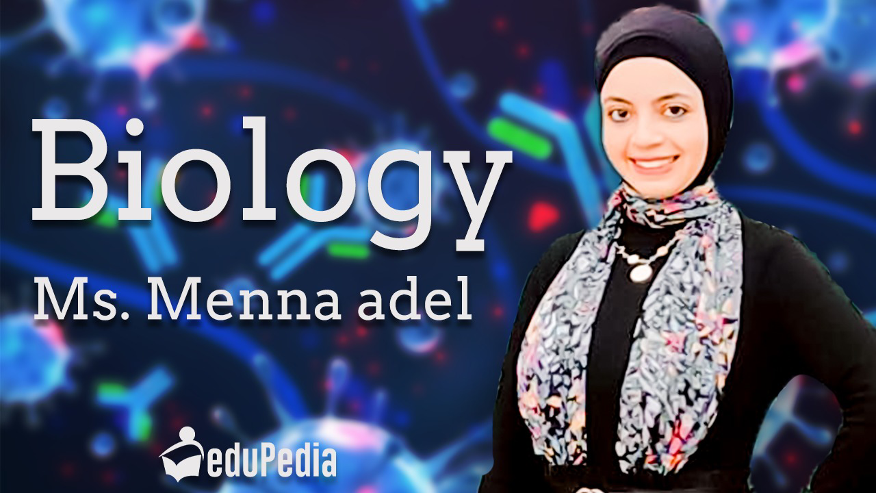 Ms Menna Adel-biology -sec 1